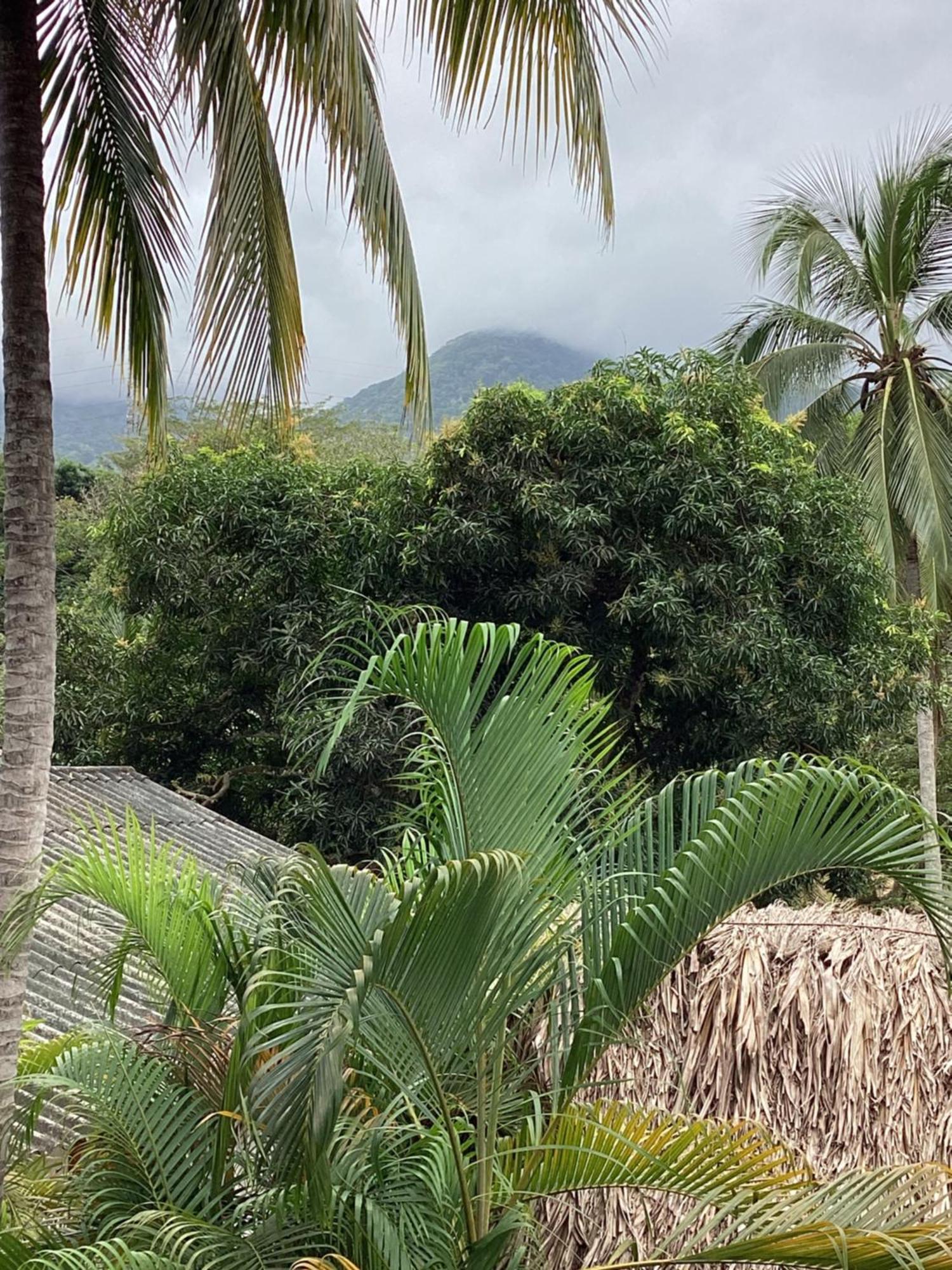 Hostal Antawara Tayrona El Zaino Dış mekan fotoğraf